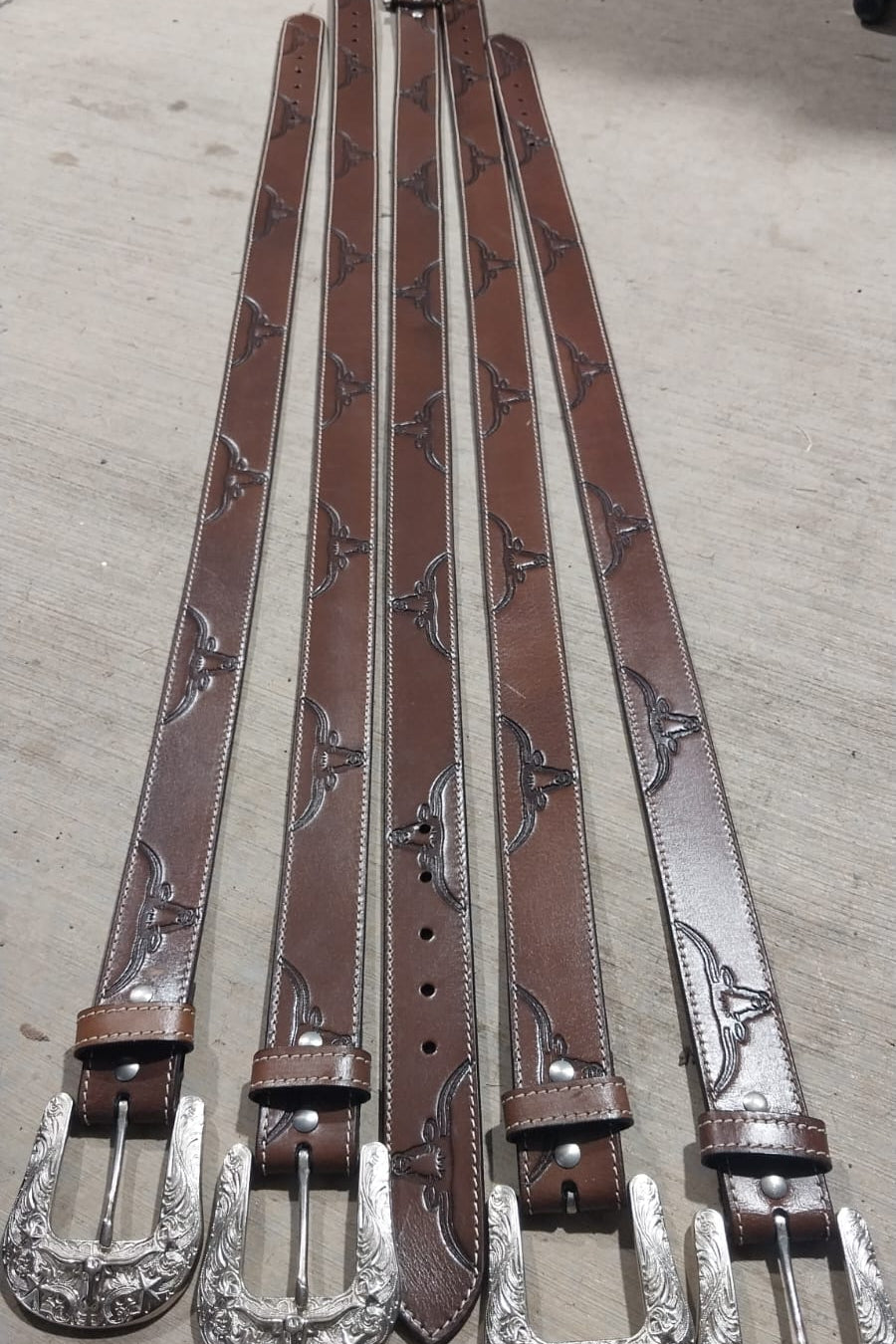 Belt longhorn dark brown