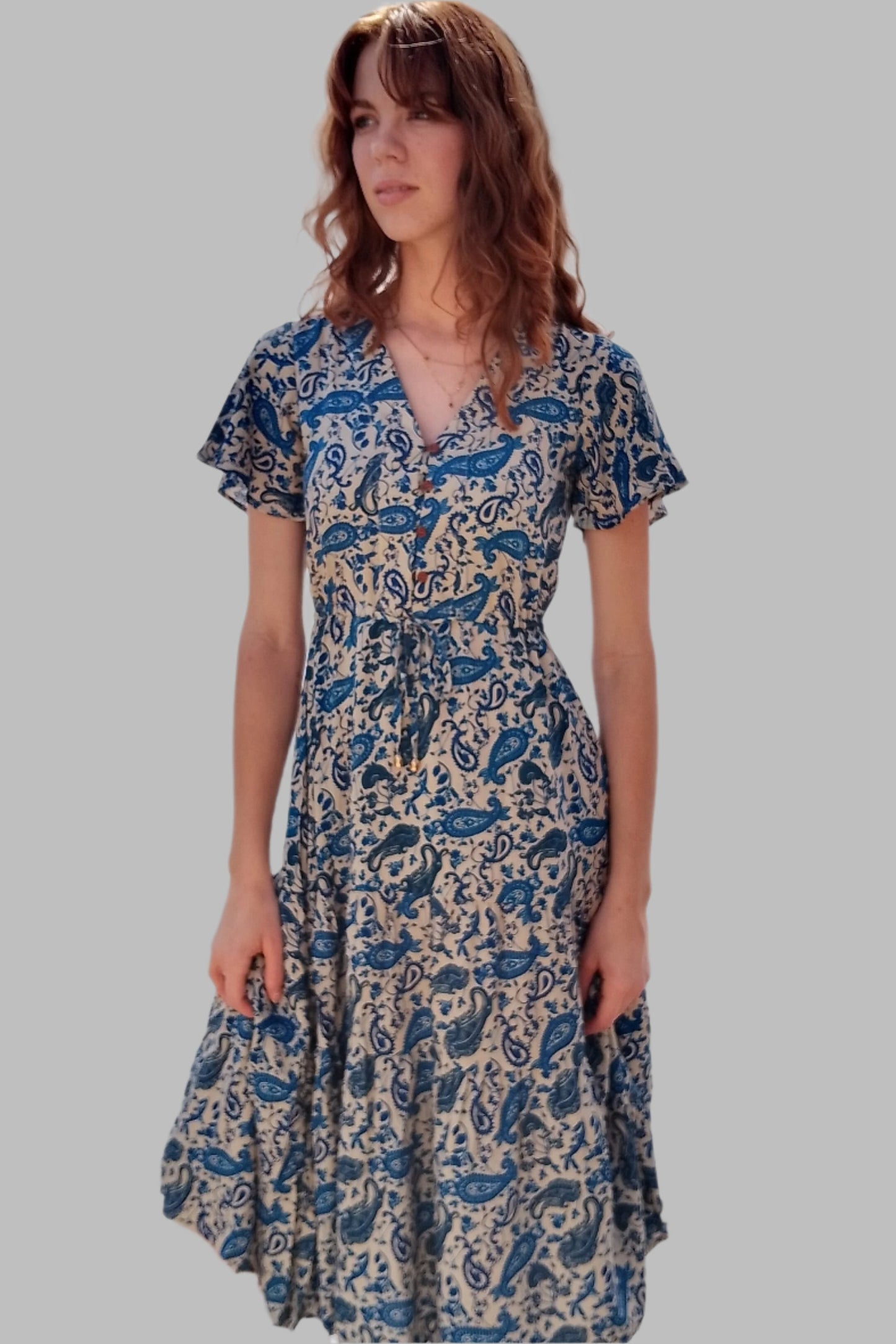 Signature Lilly Dress 3/4 (blue and cream)