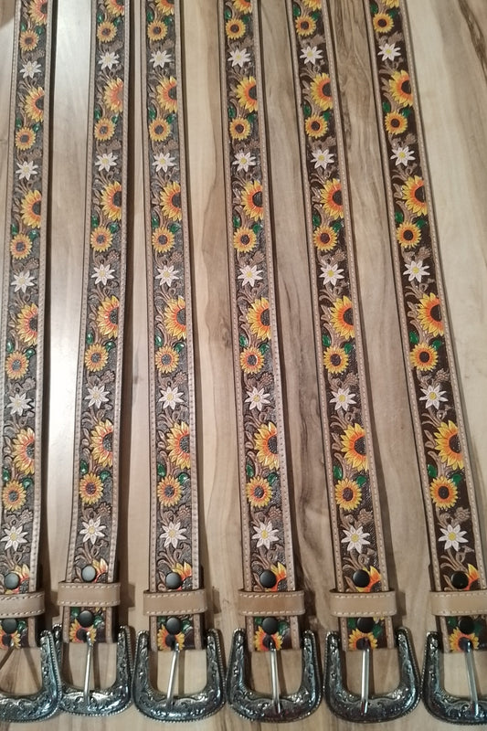 Belt hybrid sunflower